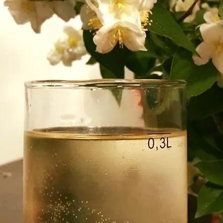 Jasmine's Vendeghaz Gyor